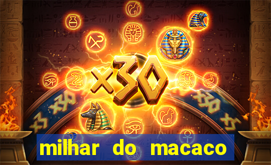 milhar do macaco que mais saem no jogo do bicho